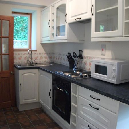 Bryn Cottage Llandderfel Eksteriør billede
